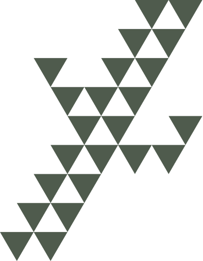 Catcus Logo without Text